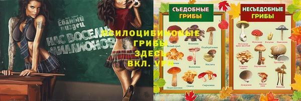 spice Богородицк